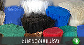 ชนิดของขนแปรง